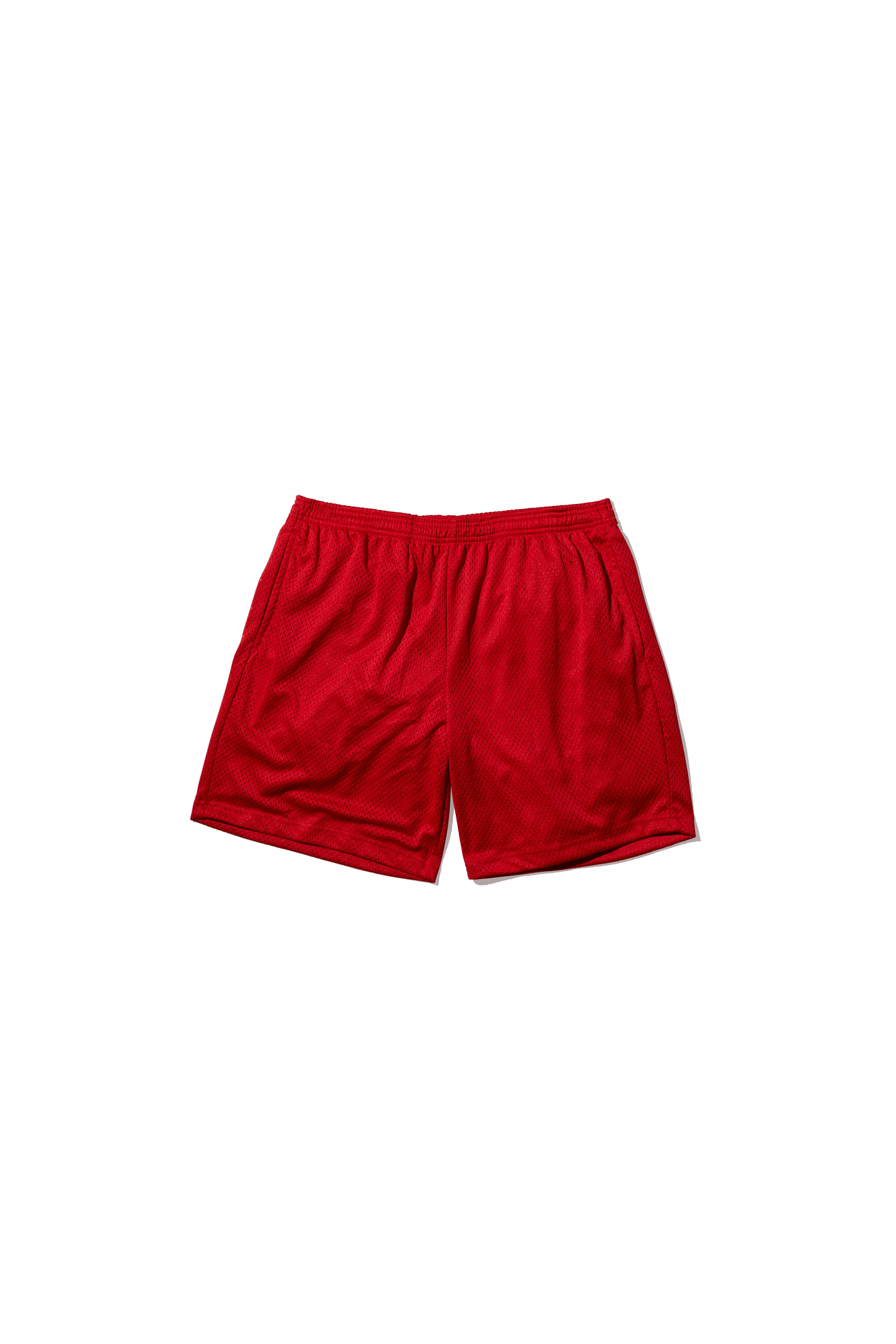 Practice Mesh Shorts