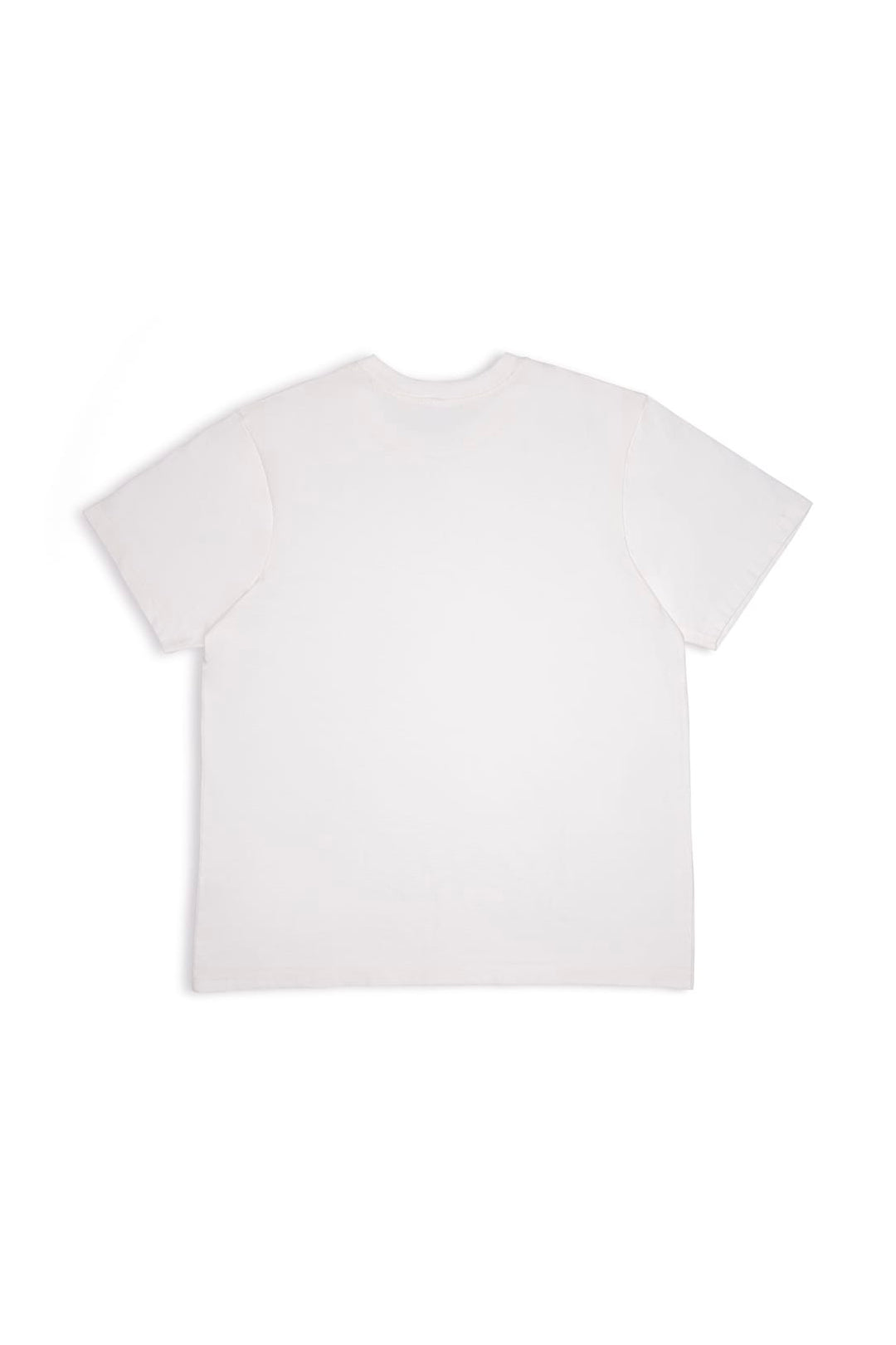 Classic Everyday Tee (new Homeroom Tee)