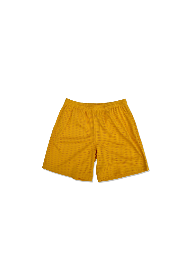 Practice Mesh Shorts