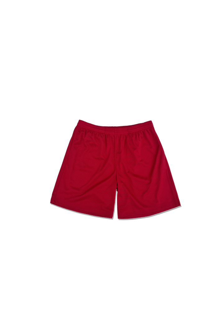Practice Mesh Shorts