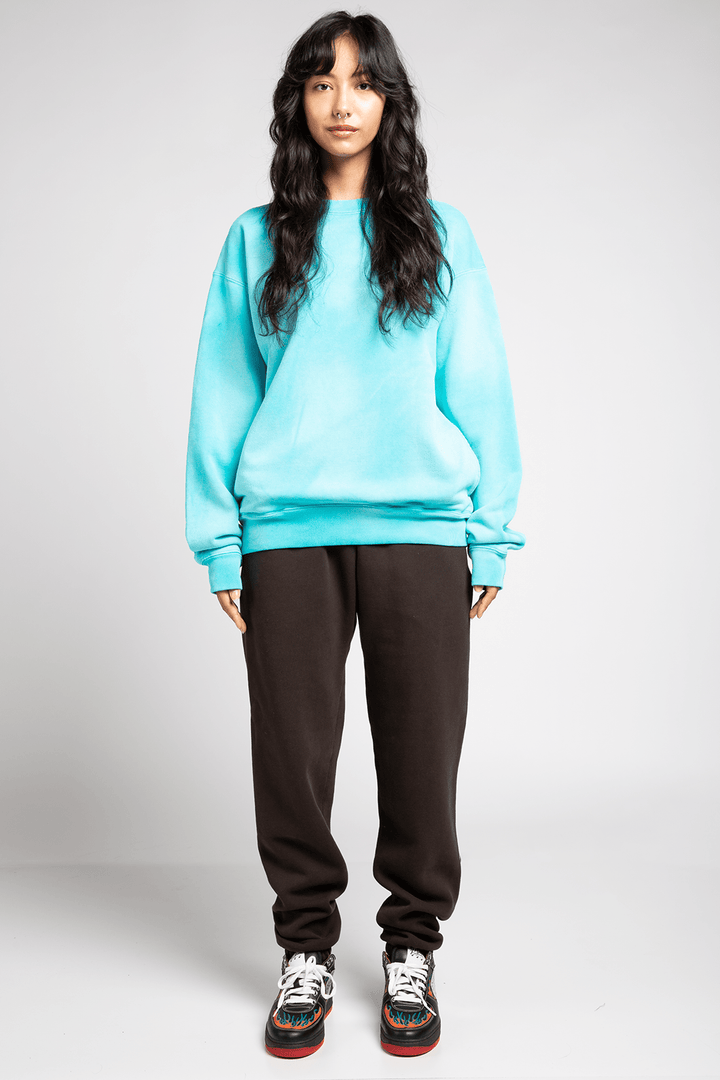 Recess Crewneck - Sunfaded Colorways