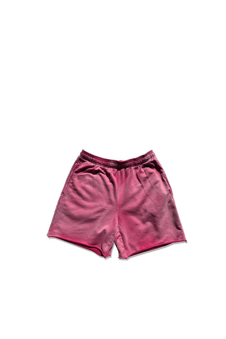 Recess Terry Sweatshorts - Sunfaded Colorways