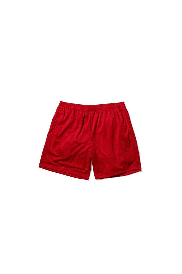 Practice Mesh Shorts